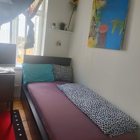 Single And Cozy Apartment Oslo Ngoại thất bức ảnh