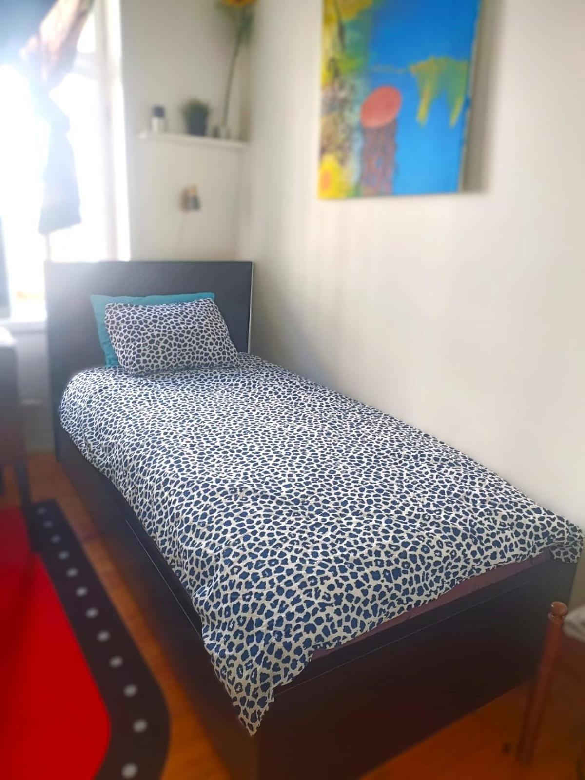 Single And Cozy Apartment Oslo Ngoại thất bức ảnh