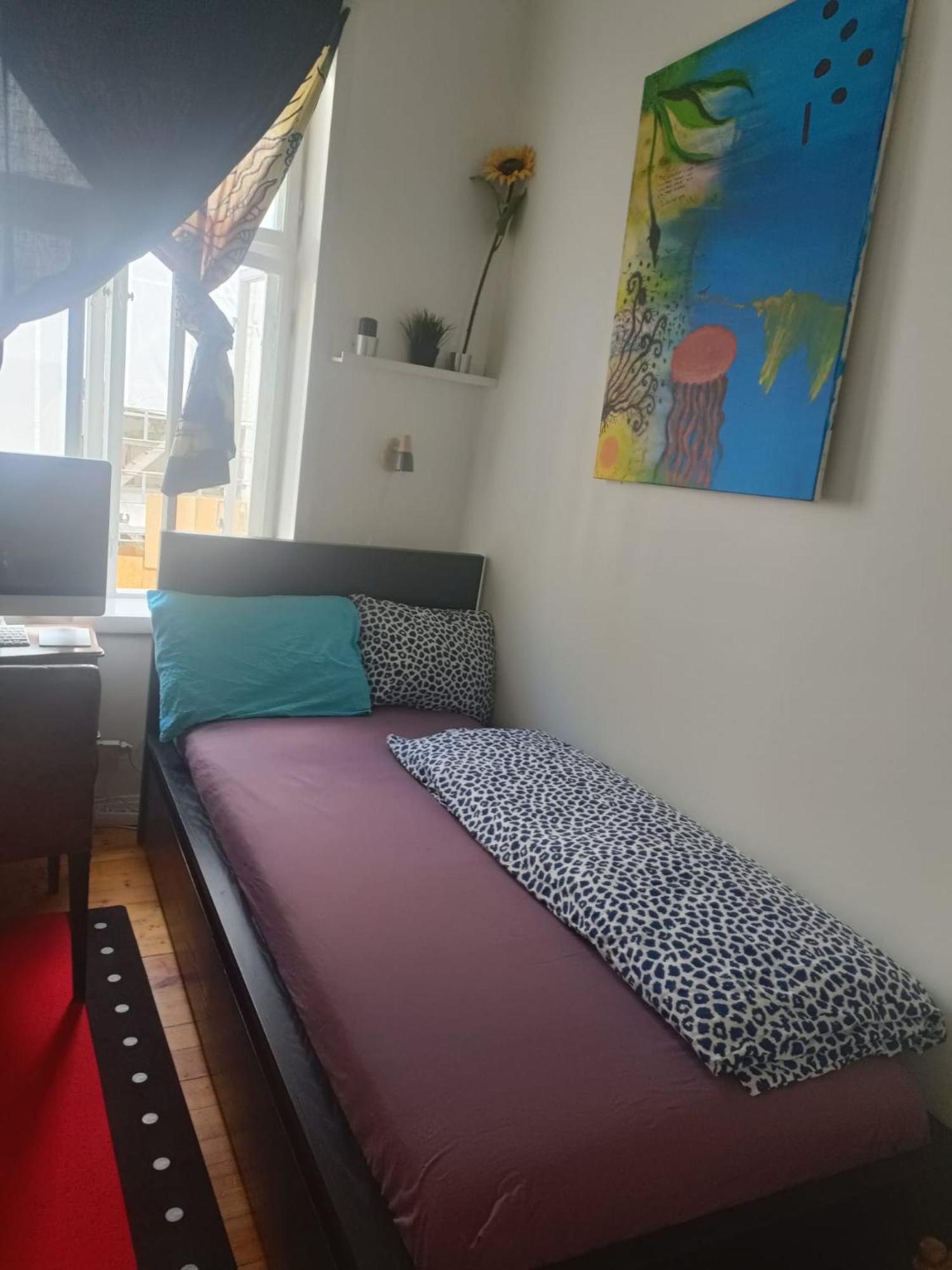 Single And Cozy Apartment Oslo Ngoại thất bức ảnh