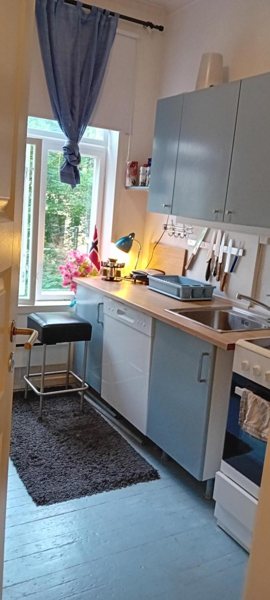 Single And Cozy Apartment Oslo Ngoại thất bức ảnh